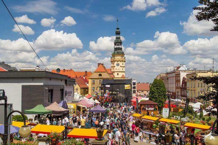 Апартаменты Der Kleine Bauernhof Keine Arbeiter Zadnych Pracownikow Lubiatow  Экстерьер фото