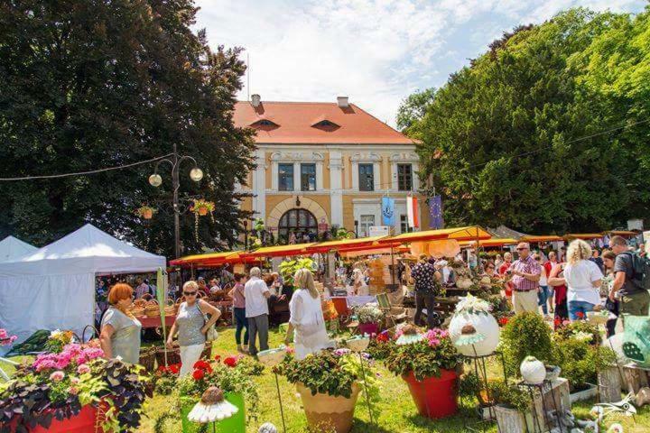 Апартаменты Der Kleine Bauernhof Keine Arbeiter Zadnych Pracownikow Lubiatow  Экстерьер фото