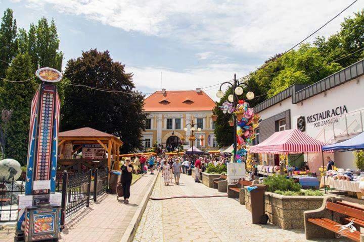 Апартаменты Der Kleine Bauernhof Keine Arbeiter Zadnych Pracownikow Lubiatow  Экстерьер фото